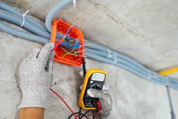 Best Affordable Electrician  in Clearwater, FL